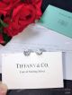 T & C o 925 sterling silver Earrings - Best Quality (3)_th.jpg